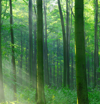 豪门国际·(中国游)官方网站